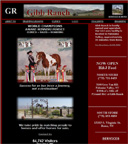 Web Sample
